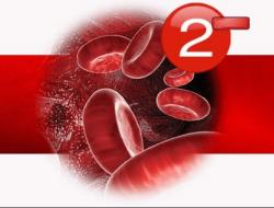 Характеристика второй отрицательной группы крови у женщин 2 группа отрицательный резус у женщины